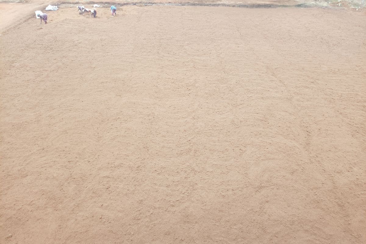 coco-dust-in-drying-process.jpg