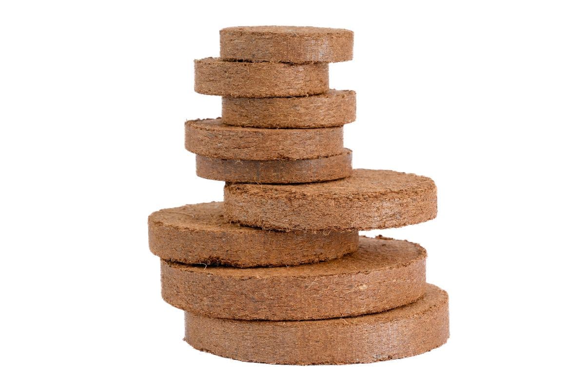 coconut-coir-disk.jpg