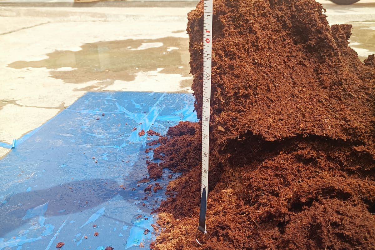 cocopeat-inspection-process.jpg