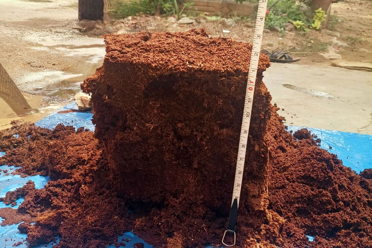 cocopeat-measurement.jpg