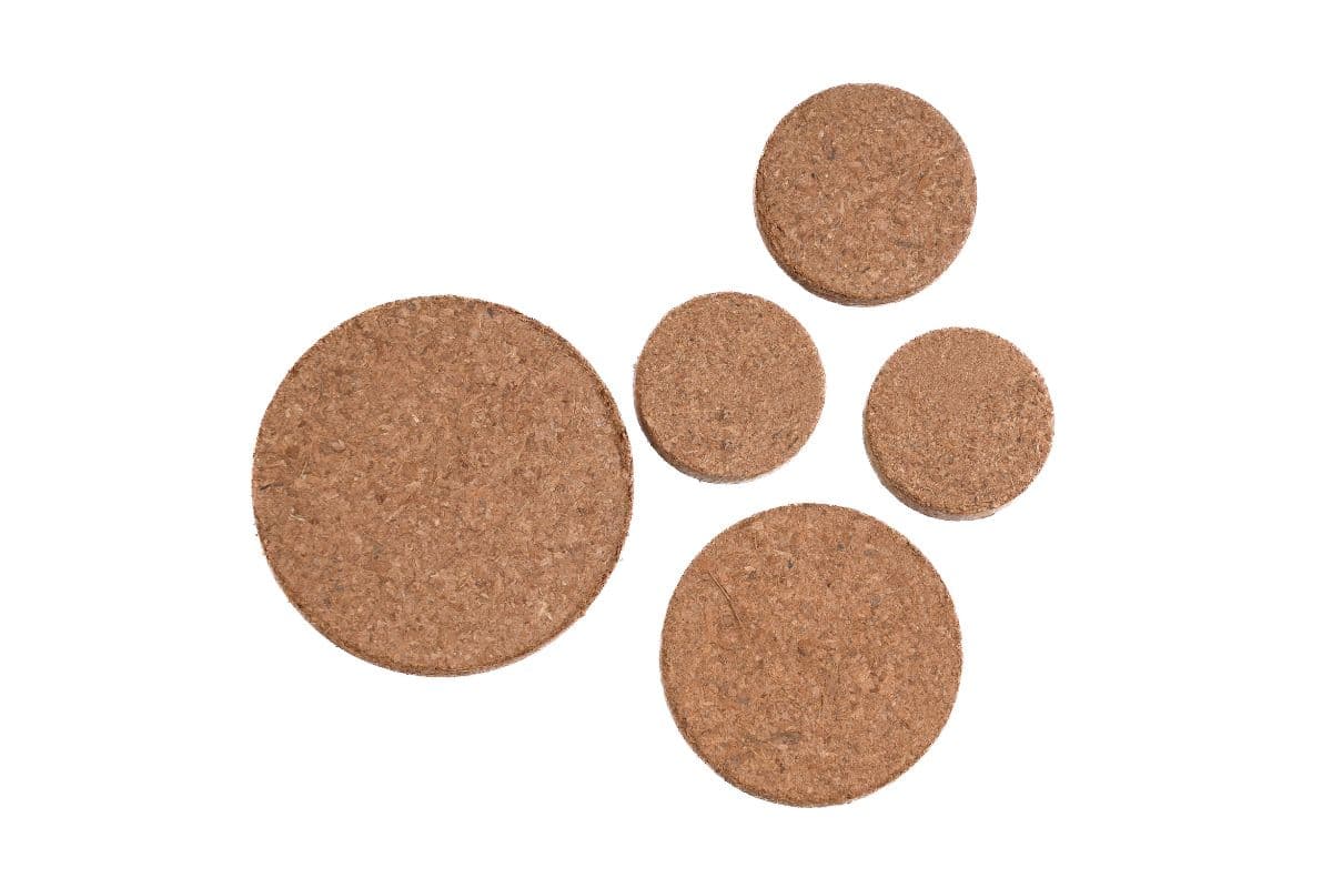 disc-5.jpg