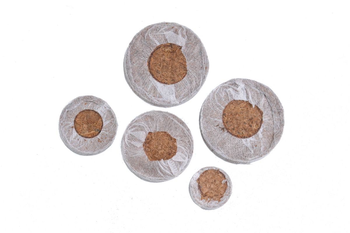 disc-6.jpg