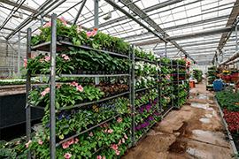 Image of Nurseries